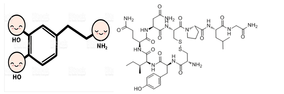 ¿Sabías que la ciencia puede ser muy sexy?